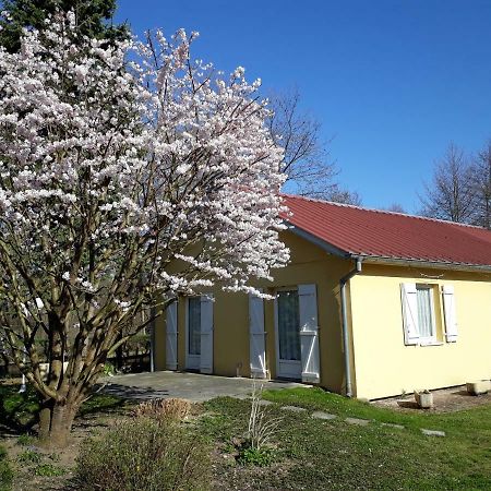 Maison De Manon إيلهاوزرن المظهر الخارجي الصورة