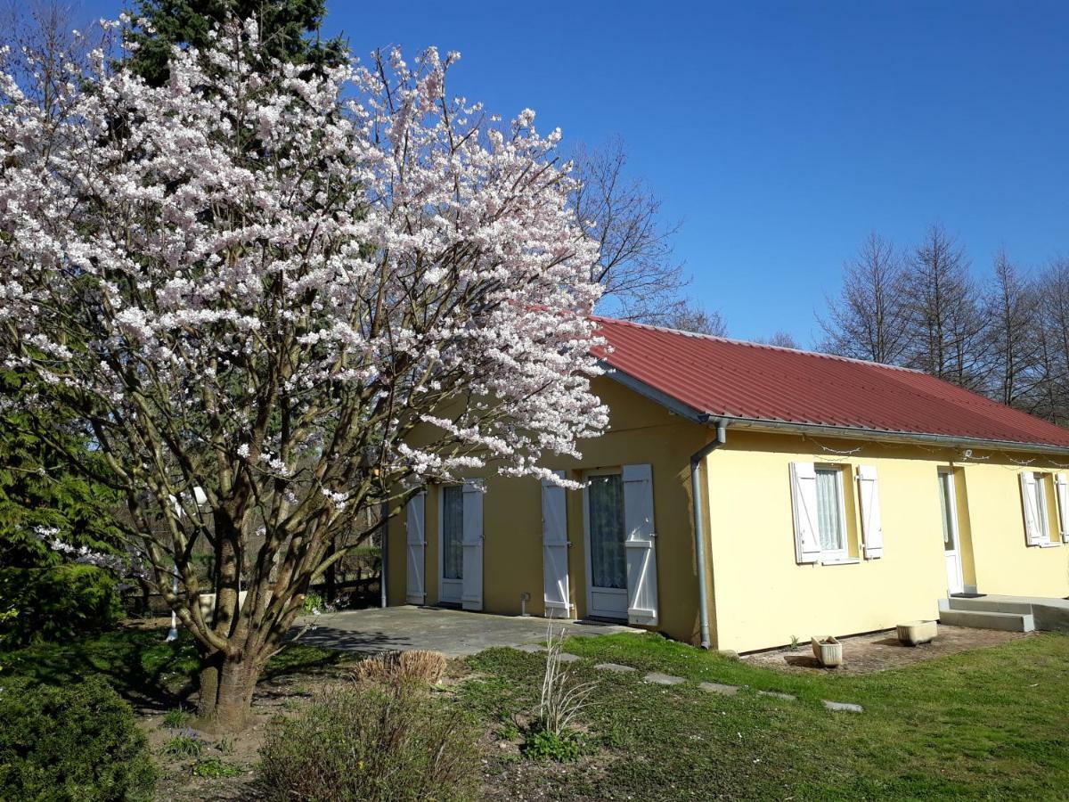 Maison De Manon إيلهاوزرن المظهر الخارجي الصورة